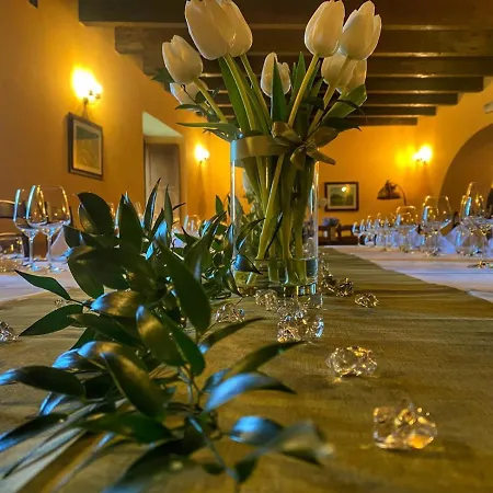 Il Castello Dei Principi Sanseverino Viggianello