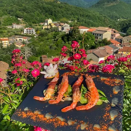 Otel Il Castello Dei Principi Sanseverino 4*