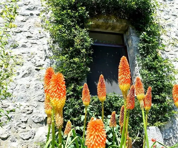 Il Castello Dei Principi Sanseverino Hotel